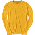 Sport Athletic Gold