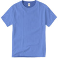 Carolina Blue