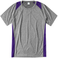 Vintage Heather/Purple