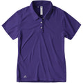 Collegiate Purple