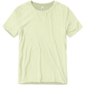 Spring Green Triblend
